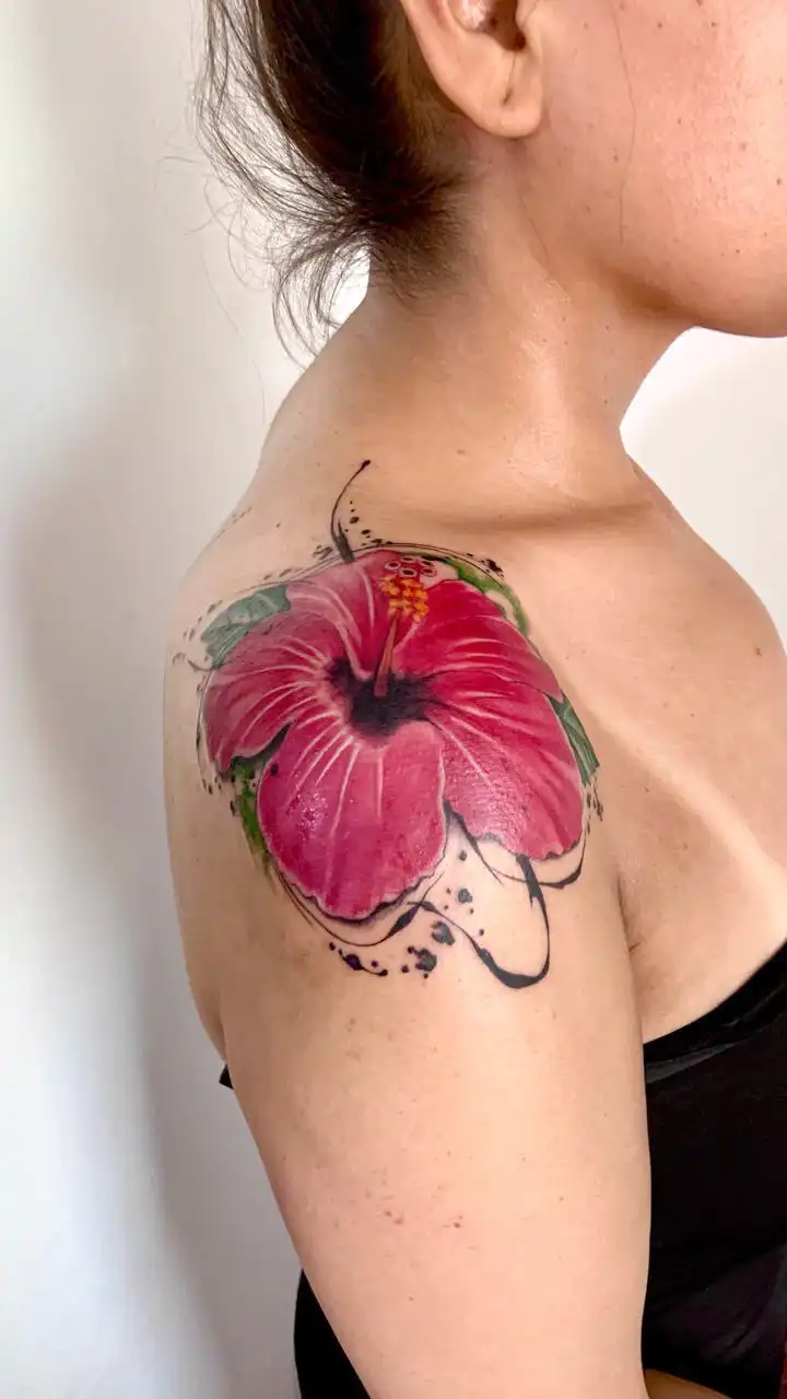 PHOTO-2025-08-21-11-29-05galeria_sc