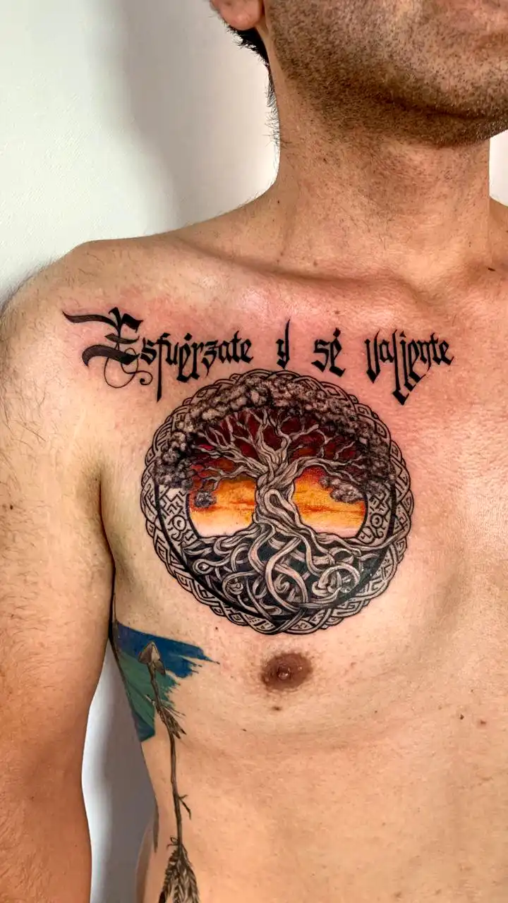 PHOTO-2025-08-21-11-29-20galeria_sc