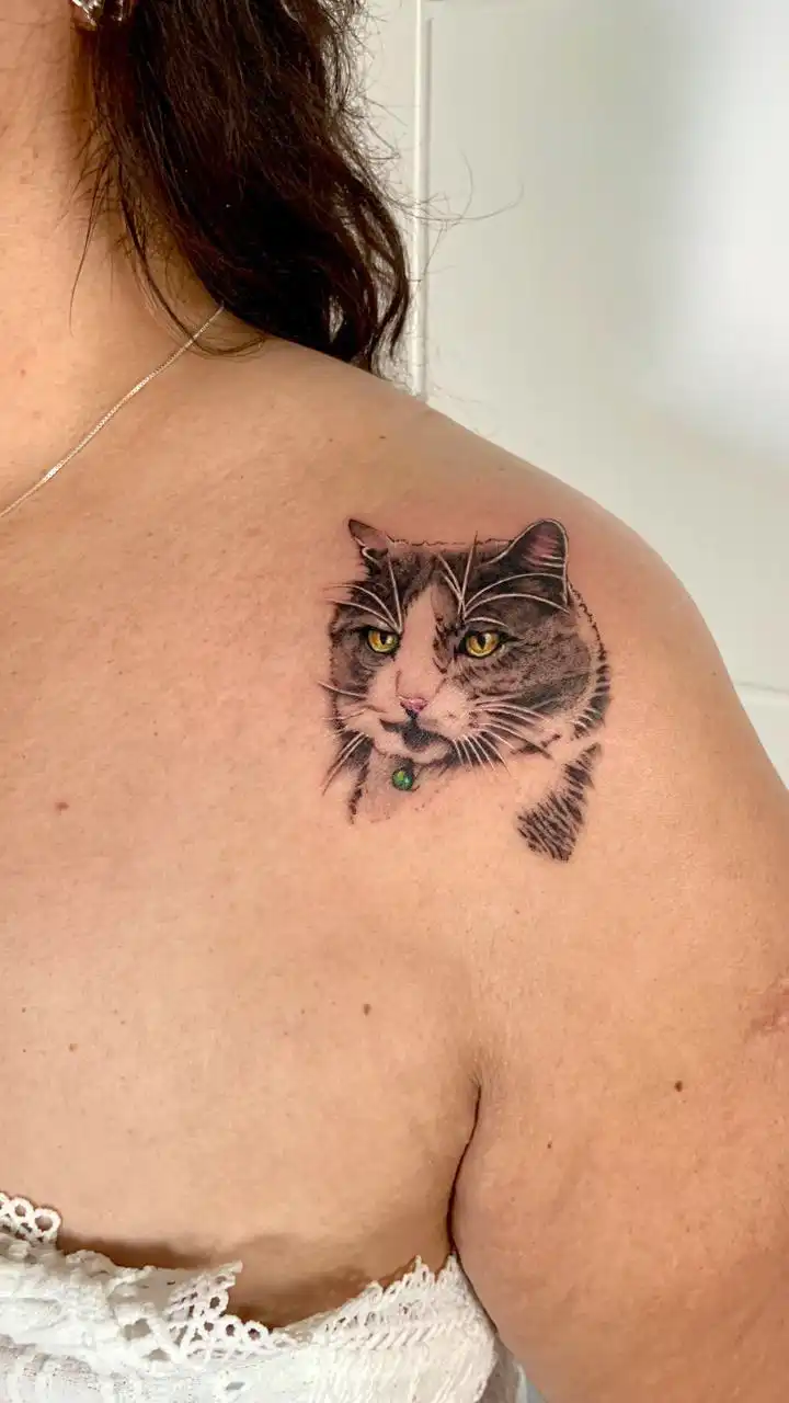 PHOTO-2025-08-21-11-31-12galeria_sc