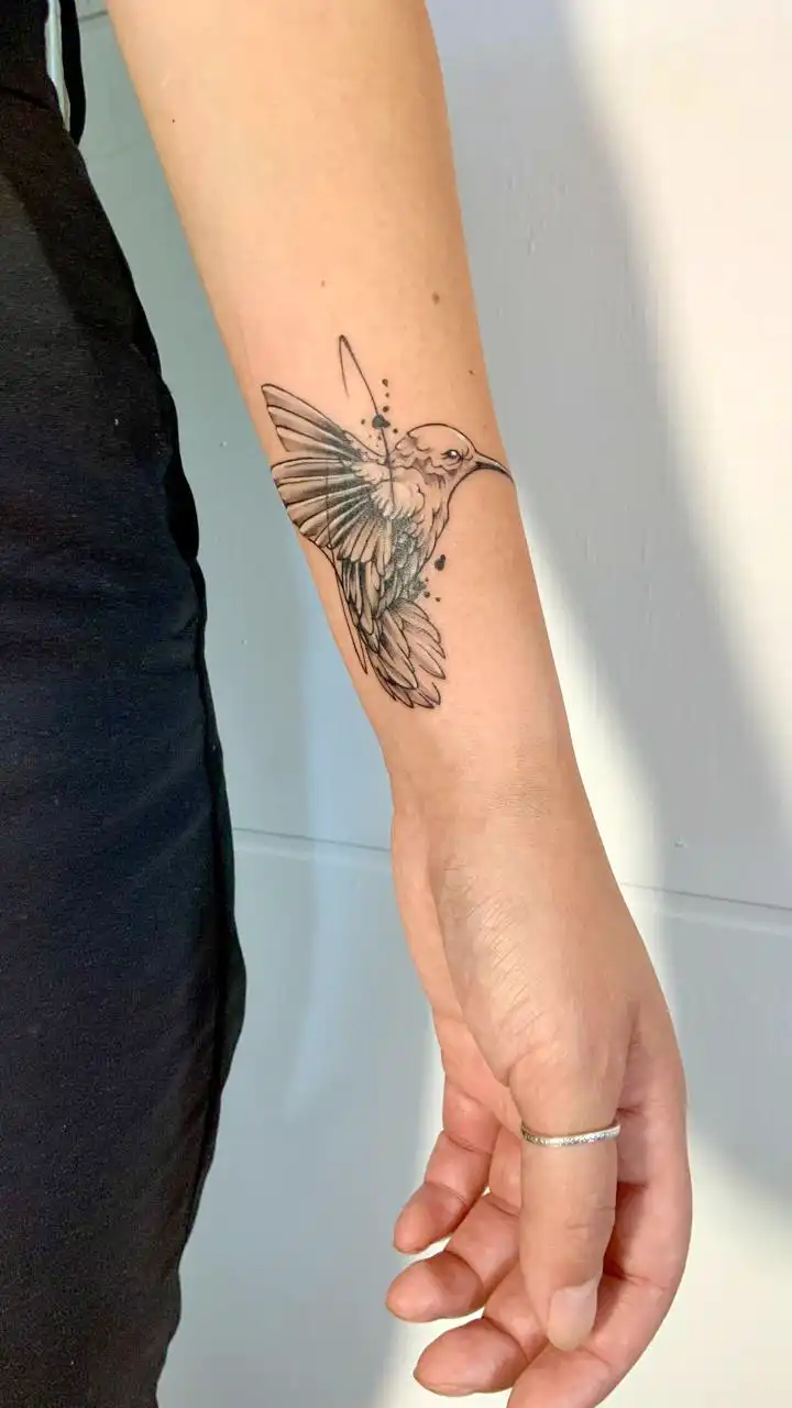 PHOTO-2025-08-21-11-39-04galeria_sc