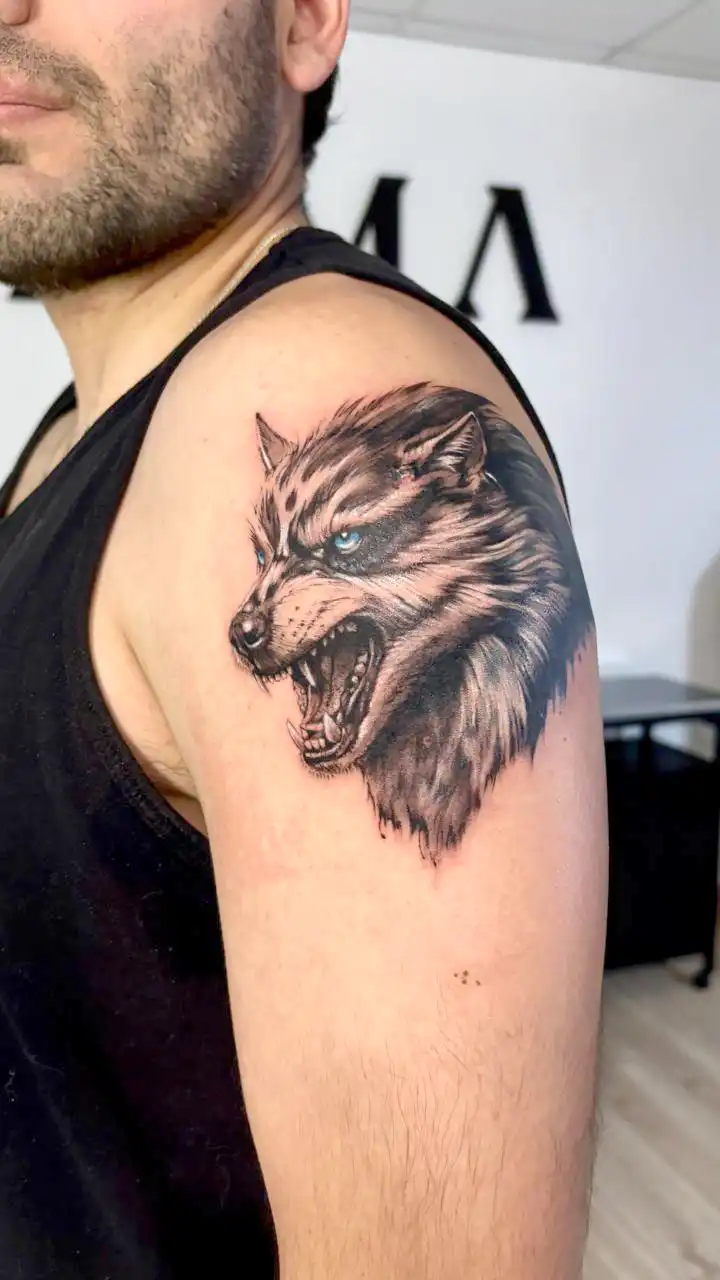 PHOTO-2025-08-21-11-40-52galeria_sc