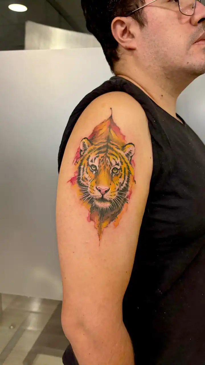 PHOTO-2025-08-21-11-41-31galeria_sc