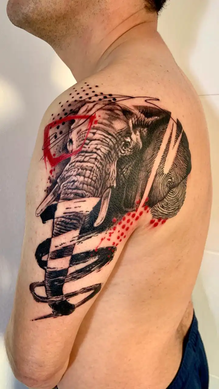 PHOTO-2025-08-21-11-43-52galeria_sc